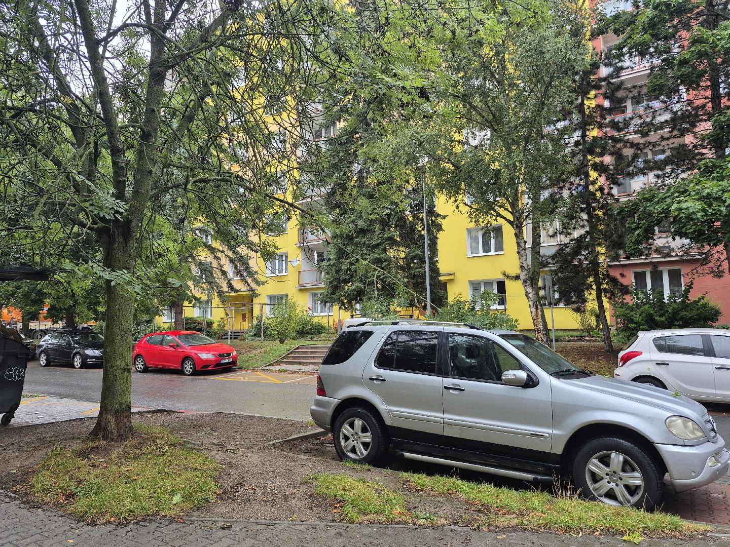 Zlomená větev