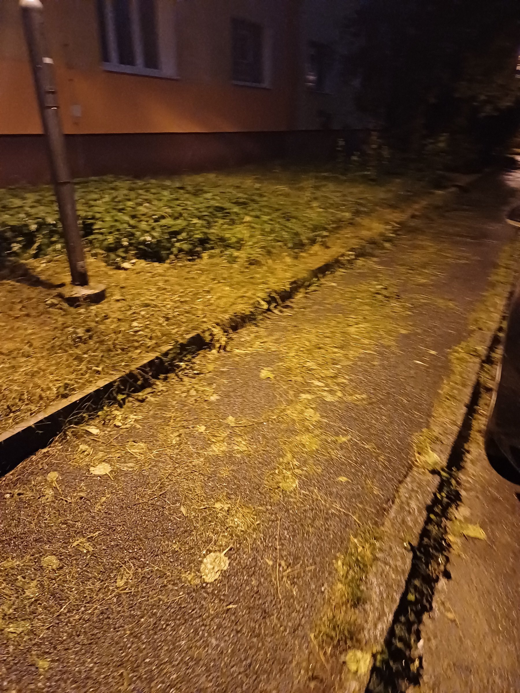 Bordel po sekání trávy
